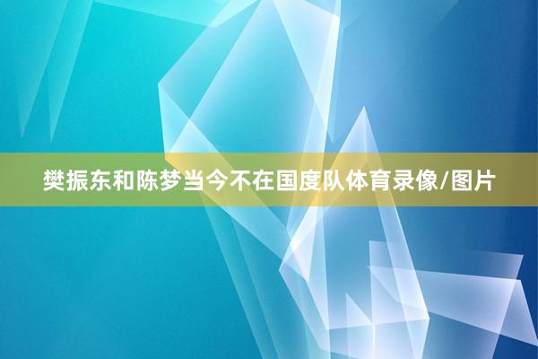 樊振东和陈梦当今不在国度队体育录像/图片