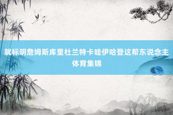 就标明詹姆斯库里杜兰特卡哇伊哈登这帮东说念主体育集锦