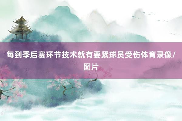 每到季后赛环节技术就有要紧球员受伤体育录像/图片