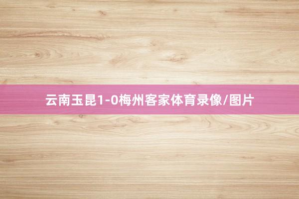 云南玉昆1-0梅州客家体育录像/图片