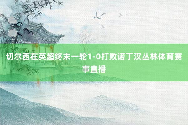 切尔西在英超终末一轮1-0打败诺丁汉丛林体育赛事直播