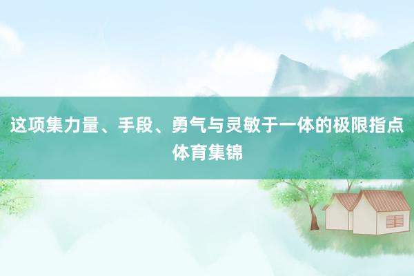 这项集力量、手段、勇气与灵敏于一体的极限指点体育集锦