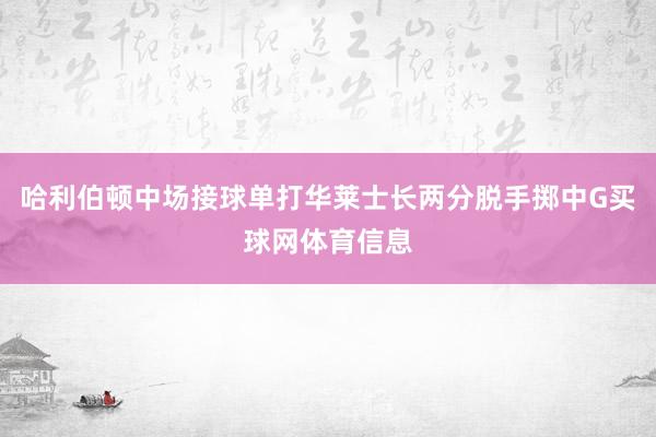 哈利伯顿中场接球单打华莱士长两分脱手掷中G买球网体育信息