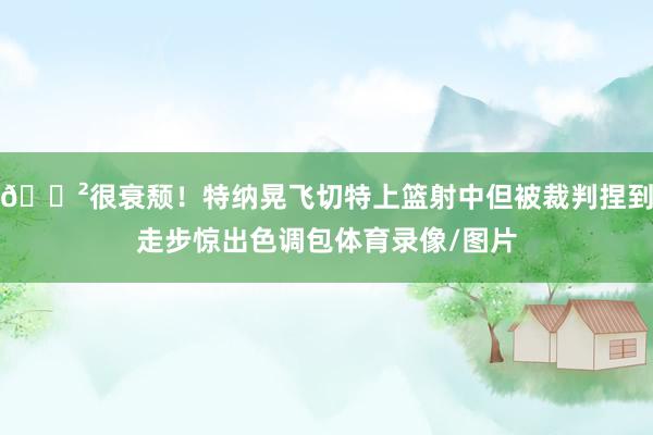 😲很衰颓！特纳晃飞切特上篮射中但被裁判捏到走步惊出色调包体育录像/图片