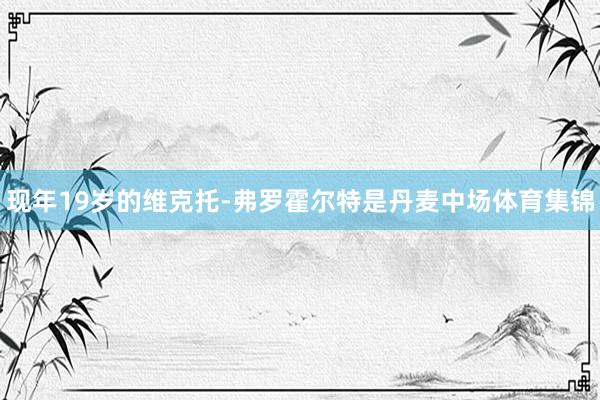 现年19岁的维克托-弗罗霍尔特是丹麦中场体育集锦