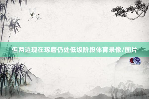 但两边现在琢磨仍处低级阶段体育录像/图片
