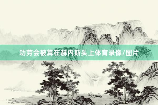 功劳会被算在赫内斯头上体育录像/图片