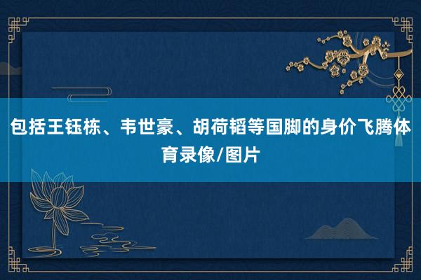 包括王钰栋、韦世豪、胡荷韬等国脚的身价飞腾体育录像/图片