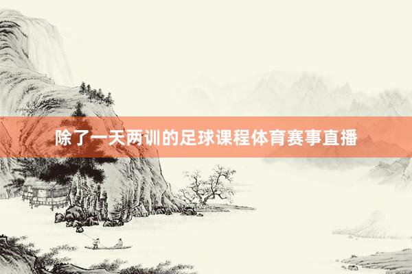 除了一天两训的足球课程体育赛事直播