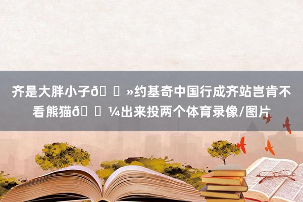 齐是大胖小子👻约基奇中国行成齐站岂肯不看熊猫🐼出来投两个体育录像/图片