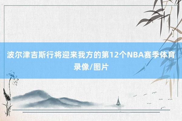 波尔津吉斯行将迎来我方的第12个NBA赛季体育录像/图片