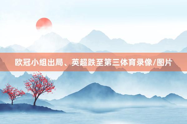 欧冠小组出局、英超跌至第三体育录像/图片