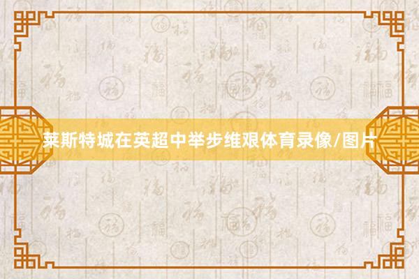 莱斯特城在英超中举步维艰体育录像/图片