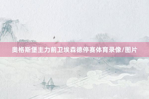 奥格斯堡主力前卫埃森德停赛体育录像/图片
