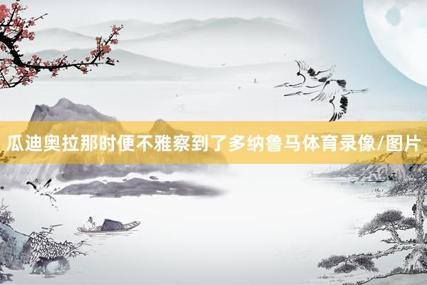 瓜迪奥拉那时便不雅察到了多纳鲁马体育录像/图片
