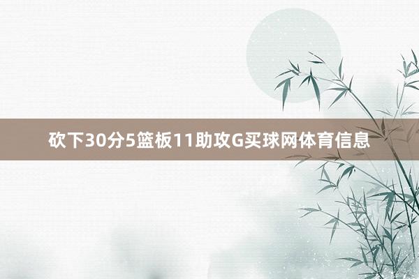 砍下30分5篮板11助攻G买球网体育信息