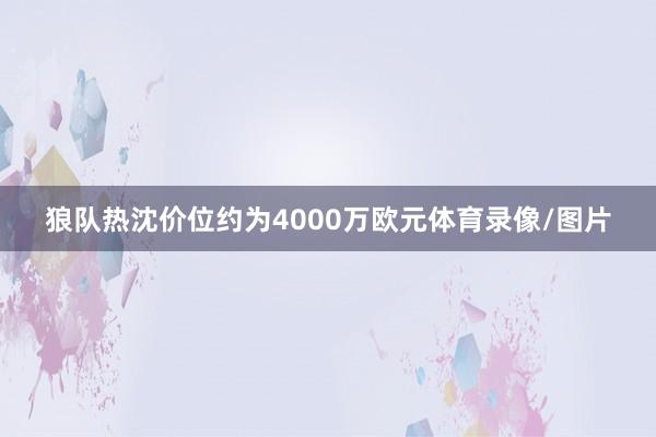 狼队热沈价位约为4000万欧元体育录像/图片