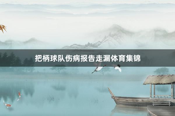 把柄球队伤病报告走漏体育集锦