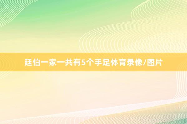 廷伯一家一共有5个手足体育录像/图片
