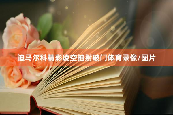 迪马尔科精彩凌空抽射破门体育录像/图片