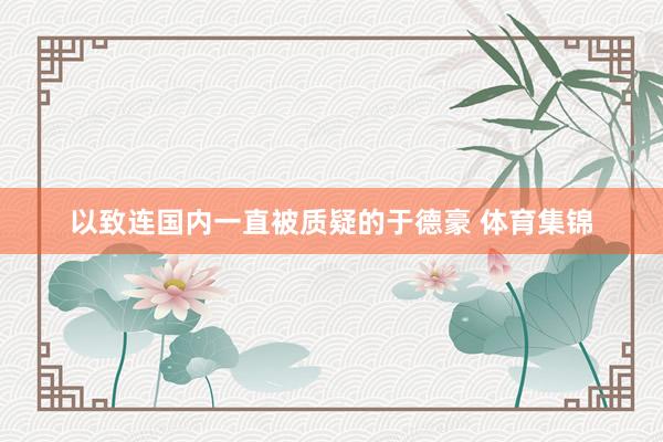以致连国内一直被质疑的于德豪 体育集锦