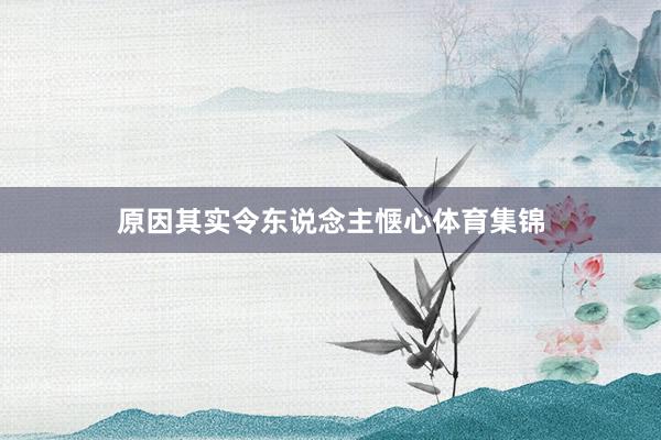 原因其实令东说念主惬心体育集锦