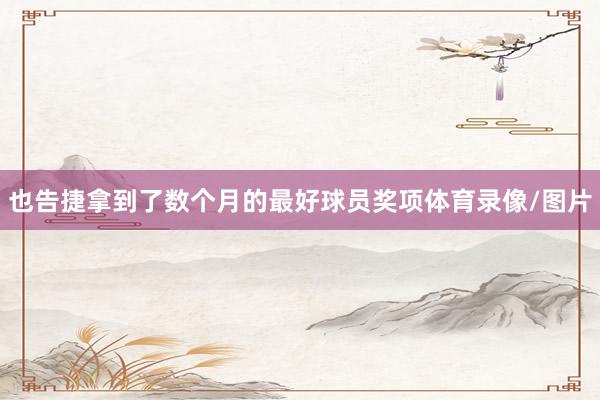 也告捷拿到了数个月的最好球员奖项体育录像/图片