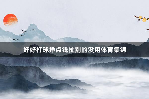 好好打球挣点钱扯别的没用体育集锦