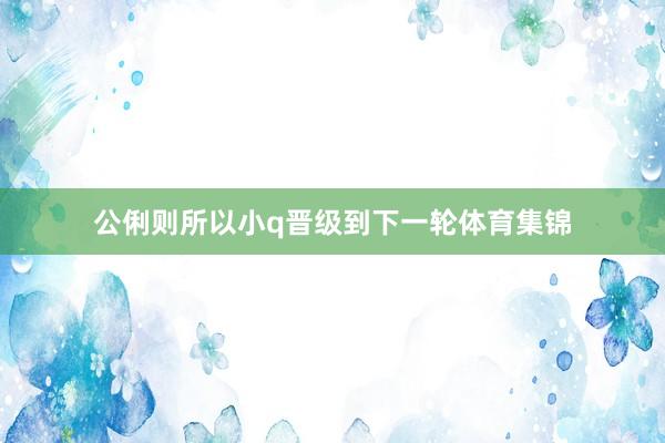 公俐则所以小q晋级到下一轮体育集锦
