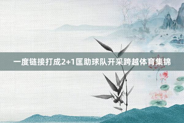 一度链接打成2+1匡助球队开采跨越体育集锦