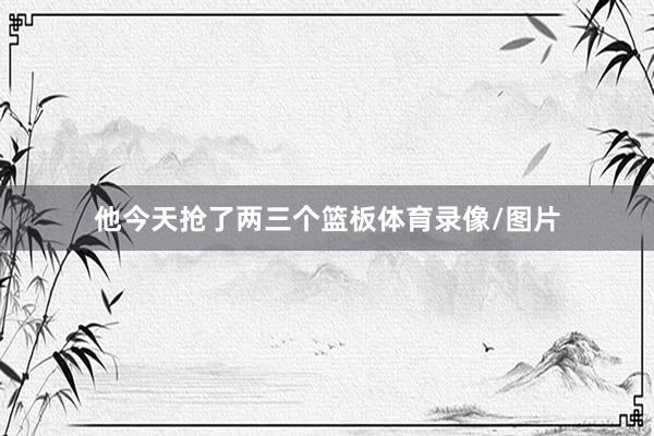 他今天抢了两三个篮板体育录像/图片