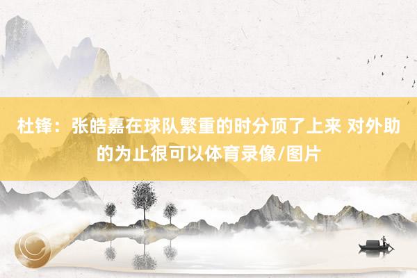 杜锋：张皓嘉在球队繁重的时分顶了上来 对外助的为止很可以体育录像/图片