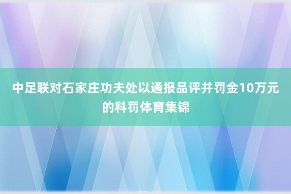 中足联对石家庄功夫处以通报品评并罚金10万元的科罚体育集锦