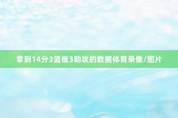 拿到14分3篮板3助攻的数据体育录像/图片