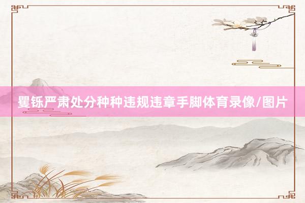 矍铄严肃处分种种违规违章手脚体育录像/图片