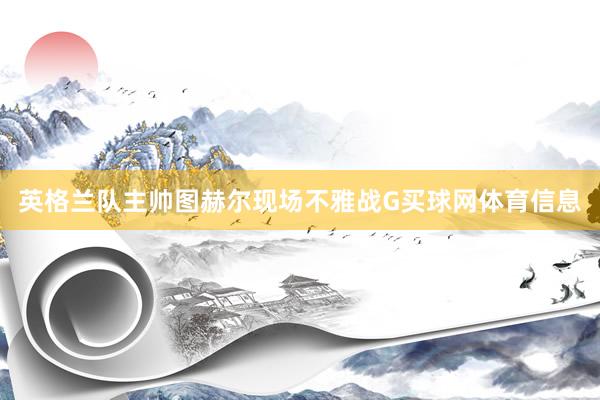 英格兰队主帅图赫尔现场不雅战G买球网体育信息