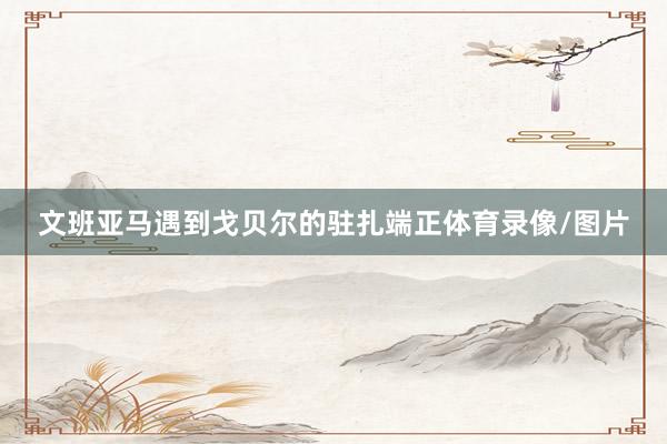 文班亚马遇到戈贝尔的驻扎端正体育录像/图片