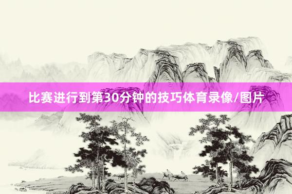 比赛进行到第30分钟的技巧体育录像/图片
