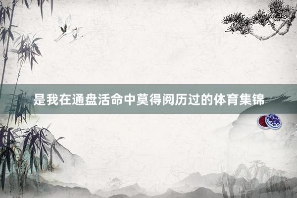 是我在通盘活命中莫得阅历过的体育集锦