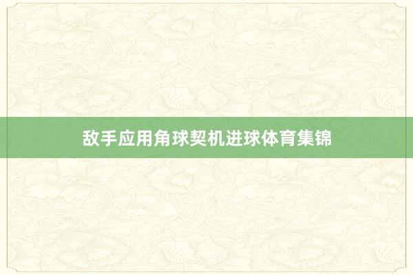 敌手应用角球契机进球体育集锦