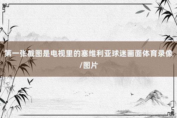 第一张截图是电视里的塞维利亚球迷画面体育录像/图片