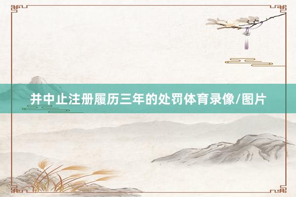 并中止注册履历三年的处罚体育录像/图片