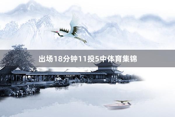 出场18分钟11投5中体育集锦