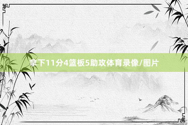 拿下11分4篮板5助攻体育录像/图片