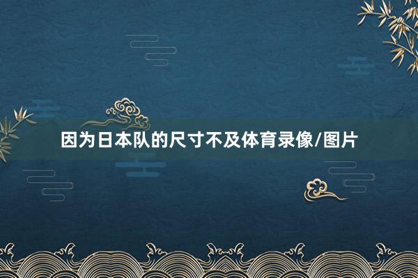 因为日本队的尺寸不及体育录像/图片