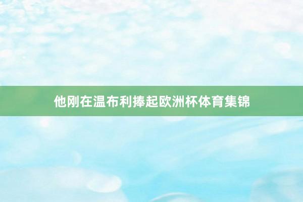 他刚在温布利捧起欧洲杯体育集锦